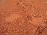 We start seeing tracks